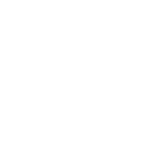 logo SMART IMPORT blanco